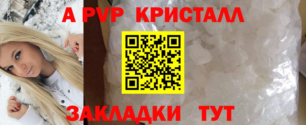 Alfa_PVP СК Тимашёвск