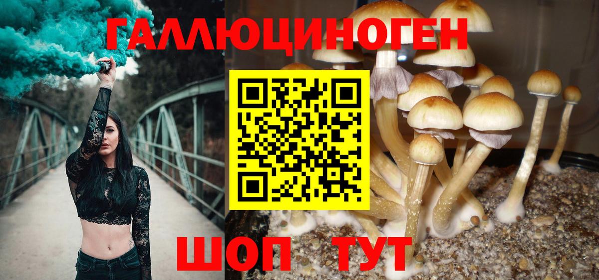 Галлюциногенные грибы MAGIC MUSHROOMS  Вход с VPN  Тимашёвск  Галлюциногенные грибы GOLDEN TEACHER 