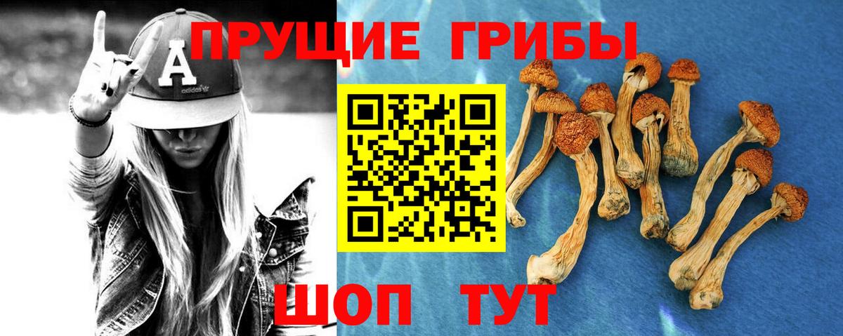 Псилоцибиновые грибы ЛСД Тимашёвск